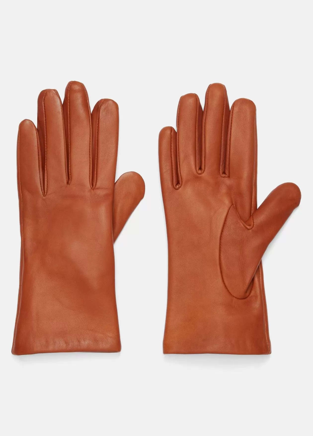 Best Sale Vince Cashmere-Lined Short Leather Glove mink