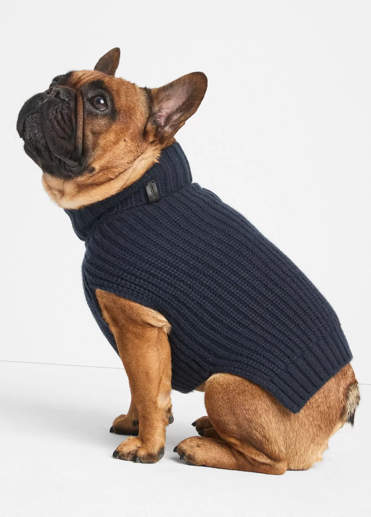 Cheap Vince Wool and Cashmere Shaker-Stitch Dog Sweater coastal blue